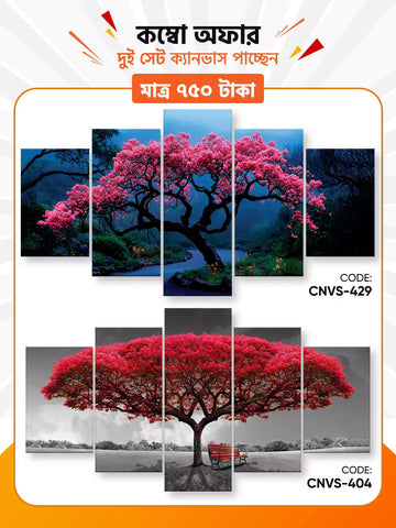 Canvas Combo - 87 ।CNVS-429-404