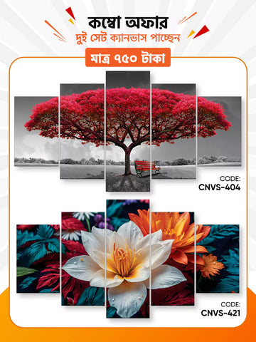 Canvas Combo - 60 । CNVS- 404, 421